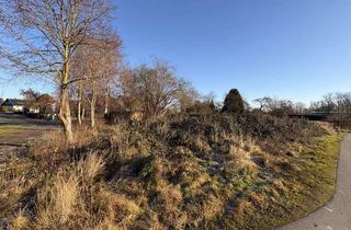 Grundstück zu kaufen in 18276 Mistorf, tolles Grundstück in Goldewin