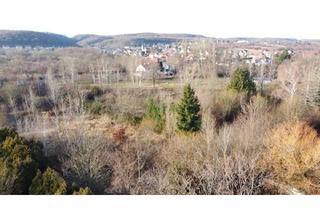 Grundstück zu kaufen in 06485 Gernrode, Sehr großes Grundstück im Vorharz - verwirklichen Sie Ihre Ideen !