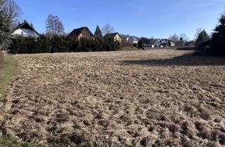 Grundstück zu kaufen in 09638 Lichtenberg, Raum für Visionen: Grundstück mit 2.845 m² in familienfreundlicher Umgebung