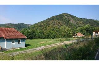Grundstück zu kaufen in 95460 Bad Berneck, Großes Grundstück für Neubebauung in Bad Berneck