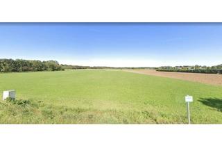 Grundstück zu kaufen in 82064 Straßlach-Dingharting, Spekulationsgrundstück südlich von Grünwald