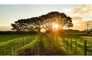 Grundstück zu kaufen in 79576 Weil am Rhein, Baugrundstück in Premium Lage von Weil am Rhein (Altweil)!