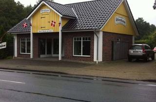 Immobilie mieten in Kirchwistedter Hauptstraße, 27616 Kirchwistedt, Lichtdurchflutetes Ausstellungshaus/Gewerbefläche direkt an der B71, Hauptstraße in Kirchwistedt