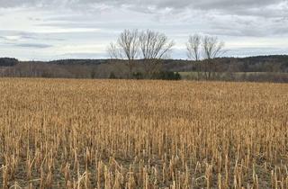 Gewerbeimmobilie kaufen in 84076 Pfeffenhausen, Attraktive landwirtschaftliche Fläche Nähe Oberlauterbach