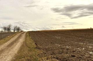 Gewerbeimmobilie kaufen in 84076 Pfeffenhausen, Ackerfläche Nähe Oberlauterbach