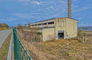 Gewerbeimmobilie kaufen in 06526 Sangerhausen, Standort mit Weitblick