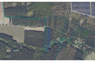 Gewerbeimmobilie kaufen in Groß Dölln, 17268 Templin, Landwirtschaftsflächen in Templin