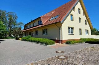 Wohnung mieten in Lindenallee 19d, 18519 Reinberg, Traumhafte 1-Raum-Wohnung im Erdgeschoss in Reinberg