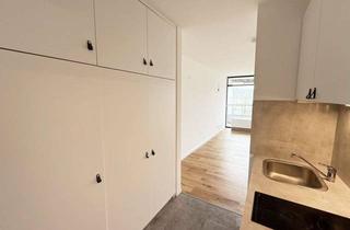 Wohnung mieten in Rheinallee, 53557 Bad Hönningen, Moderne 1-Zimmer Wohnung mit Balkon in direkter Rheinlage