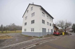 Mehrfamilienhaus kaufen in 71579 Spiegelberg, Freistehendes Mehrfamilienhaus mit 2 Garagen