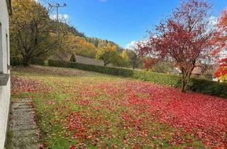Haus kaufen in 93464 Tiefenbach, Alleinlage - Sanierungsobjekt bei Tiefenbach