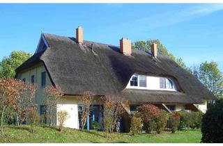 Reihenhaus kaufen in Puddemin 12, 18574 Poseritz, Reetdach Reihenhaus 3 SZ, 2 Bäder, möbliert, 3 Ebenen idyllische Lage Rügen, Kamin, Wallbox