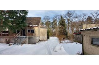 Haus kaufen in 39524 Kamern, Ankommen. Durchatmen. Zu Hause sein!