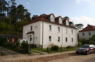 Doppelhaushälfte kaufen in 18581 Putbus, vielseitig verwendbare Doppelhaushälfte in Stadtlage mit unverbaubaren Waldblick, maklerfrei