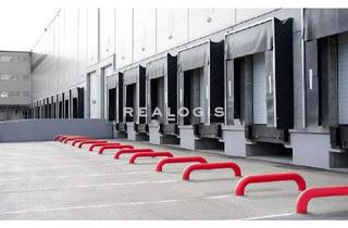 Gewerbeimmobilie mieten in 74189 Weinsberg, Ab sofort verfügbar: 10.000 m² Logistikhalle in direkter Autobahnnähe zu vermieten!