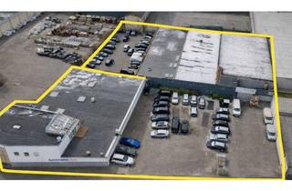 Gewerbeimmobilie kaufen in 63165 Mühlheim, MÜHLHEIM AM MAIN: Vermietetes Gewerbeareal! Autohaus, Lager, Hallen, Büros, Wohnen & Werkstatt!