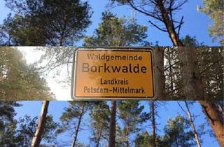 Grundstück zu kaufen in 14822 Borkwalde, Ihr Traum vom Eigenheim in Borkwalde