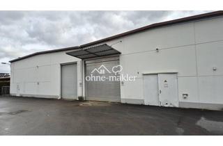 Gewerbeimmobilie mieten in Riedheimer Straße 6-10, 89129 Langenau, Gewerbehallen mit elektrischem Rolltor in Langenau zu vermieten