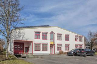 Gewerbeimmobilie kaufen in 68789 St. Leon-Rot, Halle mit Büroeinheit im Gewerbegebiet St. Leon-Rot