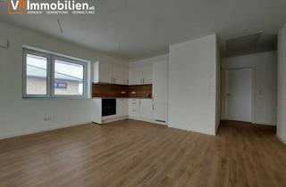 Wohnung mieten in 24813 Schülp, Moderne 2-Zimmer-Wohnung im 1.OG mit Balkon und PKW-Stellplatz in ruhiger Lage