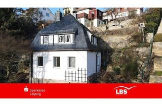 Einfamilienhaus kaufen in 01187 Dresden, Dresden - Ehemalige Weinbergterrasse - Leben pur!