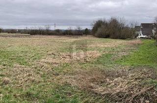 Grundstück zu kaufen in 76448 Durmersheim, Durmersheim - DER TRAUM VOM EIGENHEIM VERWIRKLICHEN