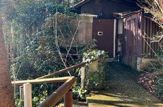 Haus kaufen in 37181 Hardegsen, Hardegsen - Kleines idyllisches Waldhäuschen mit einzigartigem Waldgrundstück