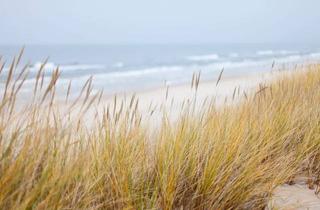 Wohnung kaufen in 18225 Kühlungsborn, Duplex-Wohnung in erster Reihe