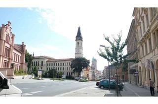 Wohnung mieten in Bahnhofstrasse, 02763 Zittau, Renovierte 2-Raum-Wohnung mit Aufzug in zentraler Lage