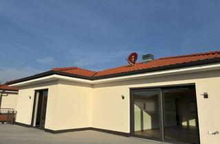 Penthouse mieten in 67251 Freinsheim, Ihre Chance In Freinsheim!