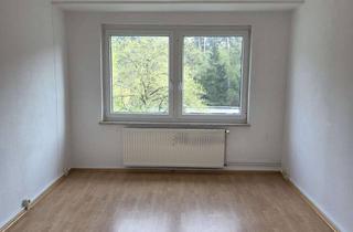 Wohnung mieten in Müggenbusch 13, 39539 Havelberg, idyllische 1-Zimmer-Wohnung in Havelberg mit Wannenbad und Fenster