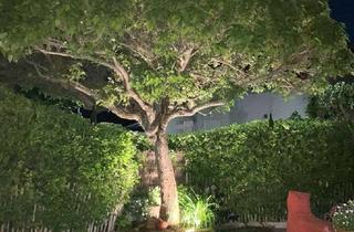 Haus kaufen in 55288 Udenheim, EFH freistehend 166m², Energiekl. B, sehr gute Ausstattung, Lage & Verkehrsanbindung, sehr gepflegt