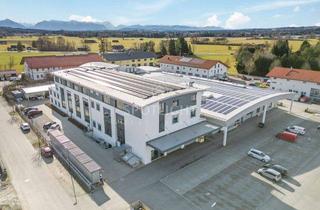 Geschäftslokal mieten in 82549 Königsdorf, Top Gewerbe-Neubau mit Produktionshalle und Büroflächen