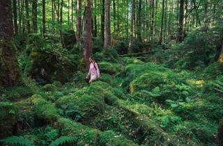 Haus mieten in 86391 Stadtbergen, Westl. Wälder / Augsburg Traumhafte Villa in Bestlage Südlage Lift große Doppelgarage
