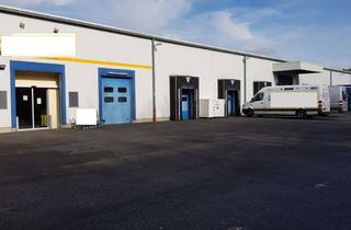 Büro zu mieten in 67677 Enkenbach-Alsenborn, Lager/Produktionshalle mit repräsentativem Bürotrakt und guter AB Anbindung in Enkenbach