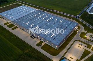 Gewerbeimmobilie mieten in 64319 Pfungstadt, ca. 11.500 m² moderne Logistikfläche | Q3 2026 | gute Verkehrsanbindung