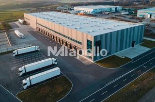 Gewerbeimmobilie mieten in 55232 Alzey, hochwertiger Logistikneubau | ca. 9.000 m² | Bezug: Q3 2026 | KEINE Provision
