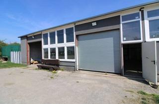 Gewerbeimmobilie kaufen in 38704 Liebenburg, Wohnen & Gewerbe Halle unter einem Dach! Ideal für Autohandel! Dörnten-Liebenburg