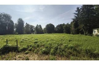 Grundstück zu kaufen in 15378 Herzfelde, Viel Platz, voll erschlossen und sofort bebaubar! Ihr großes Grundstück mit unverbautem Grünblick!