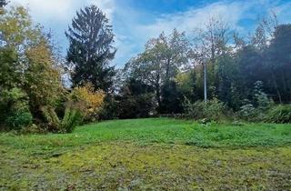 Grundstück zu kaufen in 71336 Waiblingen, 974 m² Baugrundstück, überplant mit einem innovativem Einfamilienhaus!