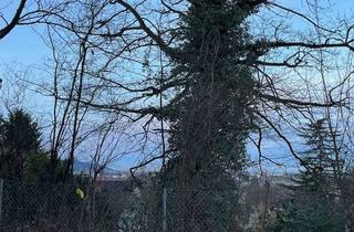 Grundstück zu kaufen in 79104 Herdern, Bebaubares Grundstück Freiburg Herdern zu verkaufen