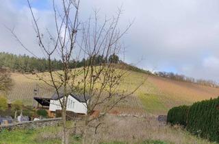 Grundstück zu kaufen in 54441 Ockfen, Grundstück mit unverbaubarem Weinbergblick in Ockfen – ideal für Einfamilienhausbebauung