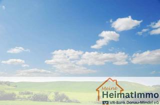 Immobilie kaufen in 89434 Blindheim, Landwirtschaftliches Grundstück bei Blindheim