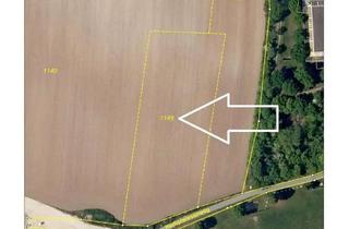Gewerbeimmobilie kaufen in 91058 Bruck, Großes Potential! Grundstück/Wiese/Acker/Landwirtschaftliche Fläche