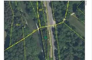 Gewerbeimmobilie kaufen in 92318 Neumarkt, Waldgrundstück / Freizeitgrundstück