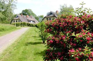 Wohnung kaufen in Puddemin 12, 18574 Poseritz, Reetdach Ferienwohnung 3 SZ, 2 Bäder, möbliert, 3 Ebenen idyllische Lage am Hafen Rügen, Wallbox