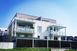 Penthouse mieten in Wiesenstraße 80, 76706 Dettenheim, Exklusive 2 Zimmer-Penthouse-Wohnung mit Dachterrasse