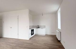 Wohnung mieten in 33615 Innenstadt, Sanierte 1-Zimmerwohnung mit großer Dachterrasse zu vermieten!