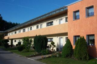 Sozialwohnungen mieten in Rembrandtstr. 10, 38442 Fallersleben, ***Schöne 1 Zimmerwohnung für Personen ab 60 Jahre mit WBS in Wolfsburg- Fallersleben***