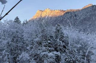 Wohnung mieten in 83229 Aschau, Modernisierte 1-Raum-Wohnung mit Terrasse und Einbauküche in Aschau